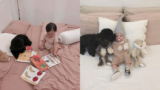 Hot mom Heo Mi Nhon gây sốt mạng xã hội với câu hỏi ‘có nên nuôi chó khi nhà có em bé hay không?’